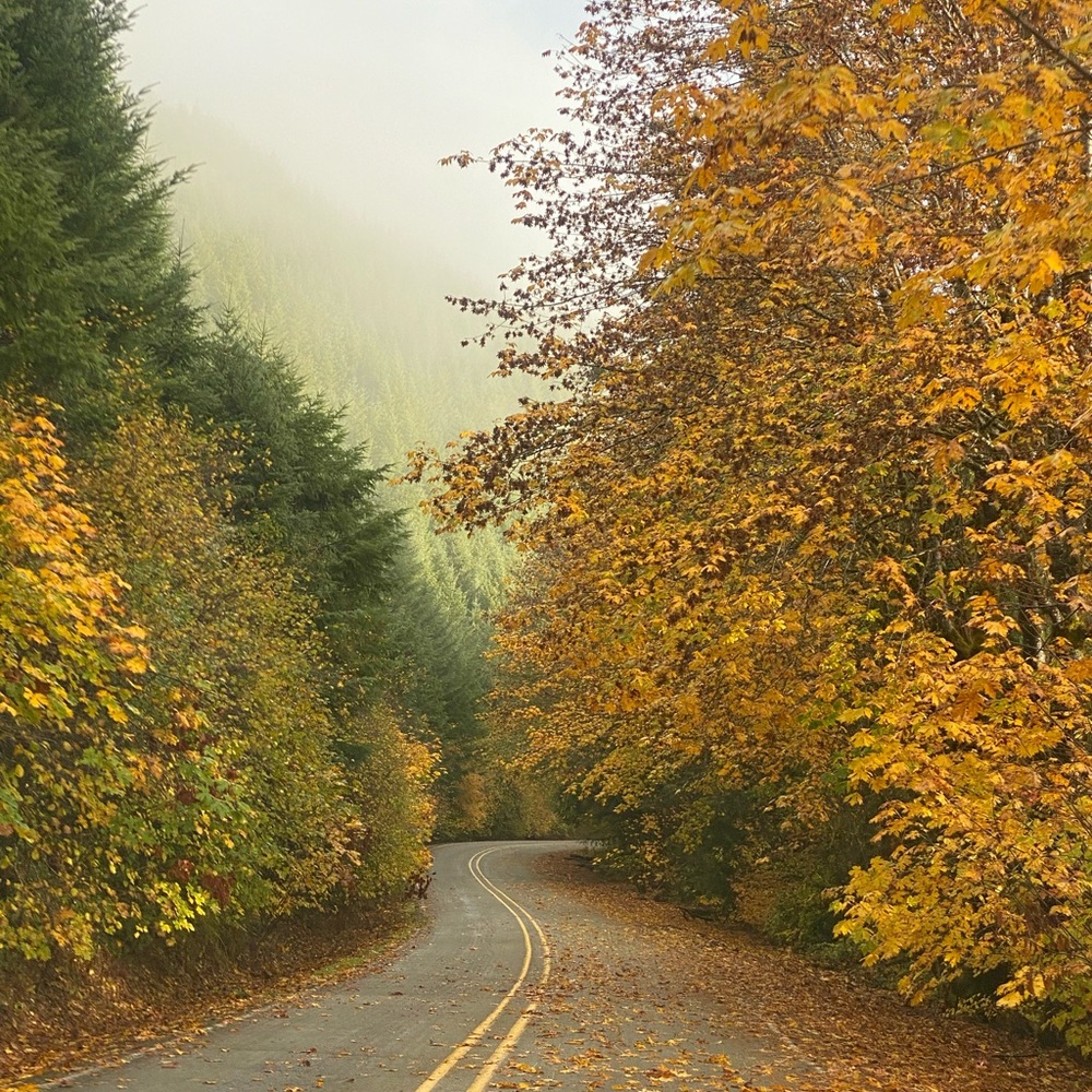 Intu Stones 
crystals with a crystal healer Unlisted Inventory - Picture 2 of 16